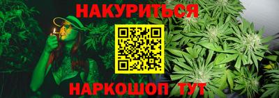 прущие грибы Кулебаки