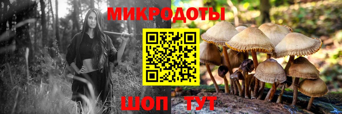 Псилоцибиновые грибы MAGIC MUSHROOMS  Псилоцибиновые грибы прущие грибы  Вход с VPN  Арсеньев 